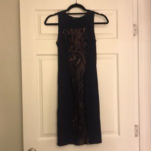 **LAST CHANCE** BCBG Max Azria Nude Panel Lace Dress
